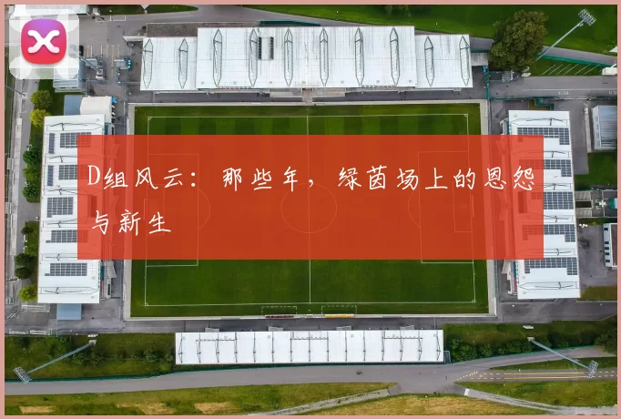 D组风云:那些年,绿茵场上的恩怨与新生