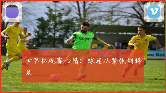 世界杯观赛心情:球迷从紧张到释放