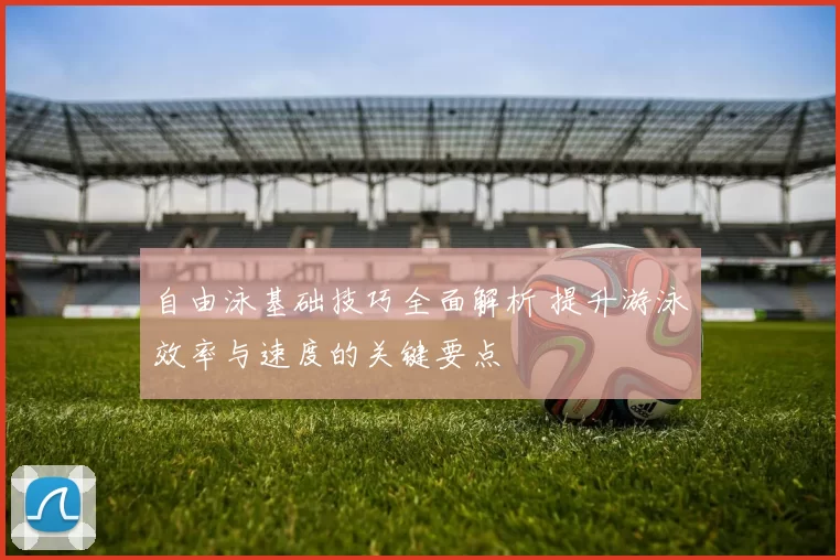 自由泳基础技巧全面解析 提升游泳效率与速度的关键要点