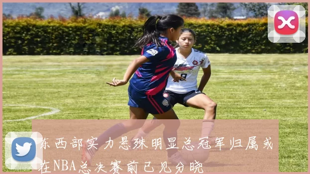 东西部实力悬殊明显总冠军归属或在NBA总决赛前已见分晓