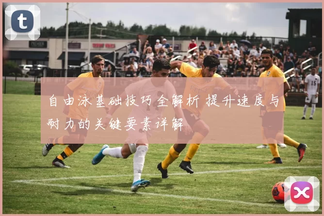 自由泳基础技巧全解析 提升速度与耐力的关键要素详解