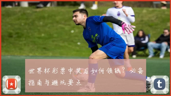 世界杯彩票中奖后如何领钱?必备指南与避坑要点