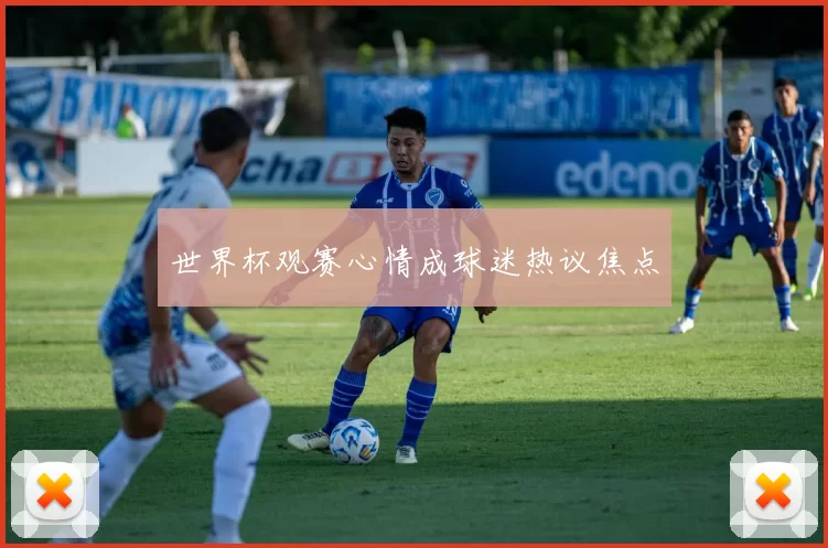 世界杯观赛心情成球迷热议焦点