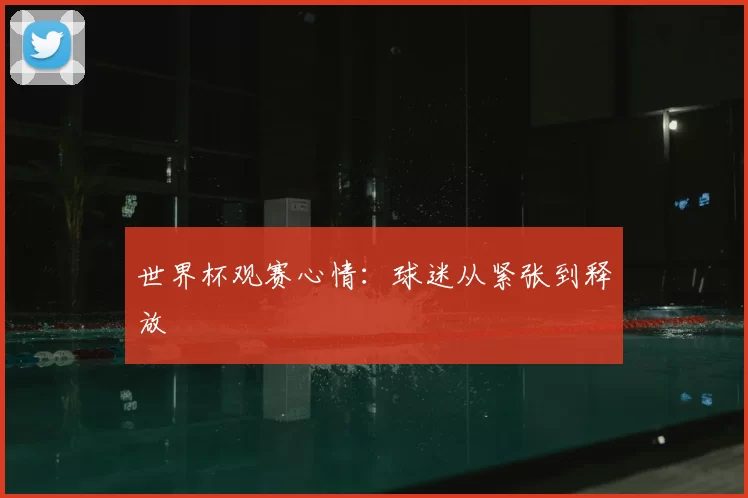 世界杯观赛心情:球迷从紧张到释放