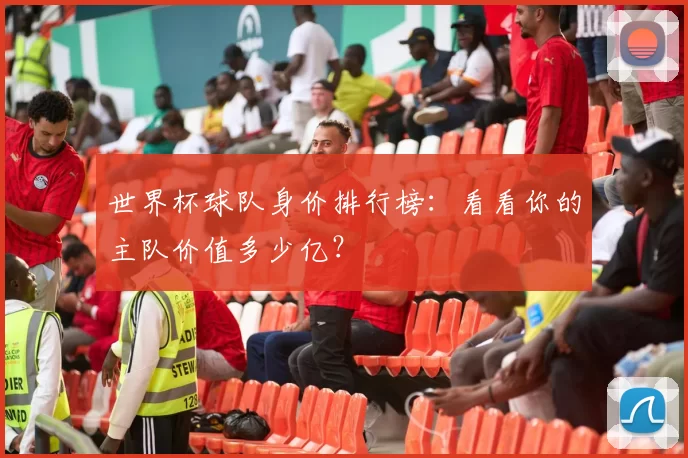 世界杯球队身价排行榜:看看你的主队价值多少亿?